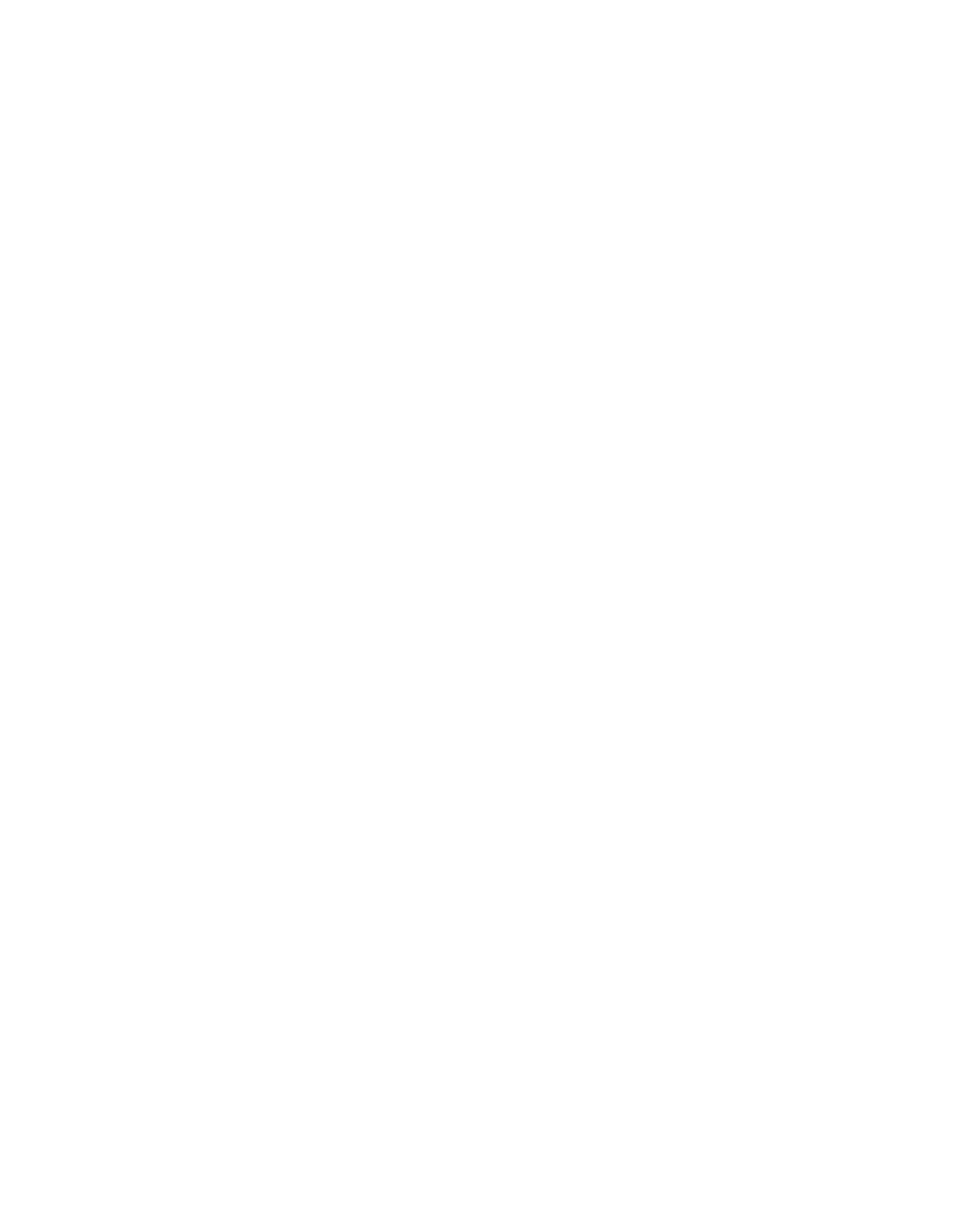 Vulpes Tech